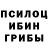 Псилоцибиновые грибы прущие грибы Russell Keeling