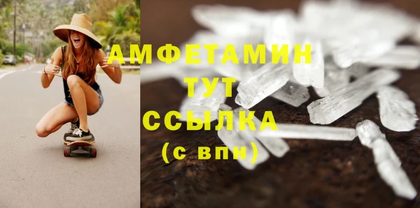 PSILOCYBIN Армянск