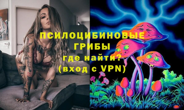 спиды Арсеньев