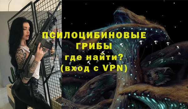PSILOCYBIN Армянск