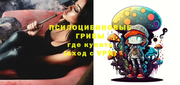 спиды Арсеньев